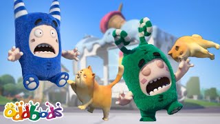 Put The Cats Among The Oddbods 😺  Oddbods Cartoons  Funny Cartoons For Kids [upl. by Elburt722]