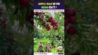 AMPLEWord का क्या मतलब होता है NeetuSinghKiPathshala studywithfun neetumam kdcampus [upl. by Morrell397]