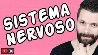 SISTEMA NERVOSO  FISIOLOGIA  Aula  Biologia com Samuel Cunha [upl. by Keffer394]