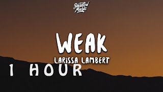 1 HOUR  Larissa Lambert  Weak Lyrics [upl. by Marina]