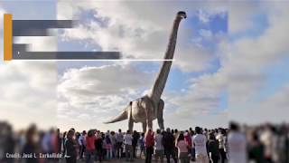 70Ton Titanosaur Becomes Worlds Largest Dinosaur [upl. by Samala]