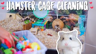 Hamster Cage Cleaning  Roborovski Hamster [upl. by Eiramnerual]