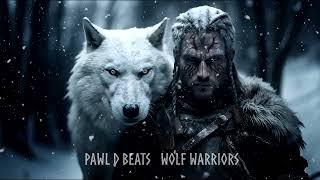 Viking Music  Wolf Warriors [upl. by Jerrie]