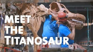 Meet the Titanosaur [upl. by Simara]