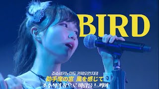 AKB48  BirdTeam 8 Ver  本田仁美 日本語字幕 [upl. by Sax]