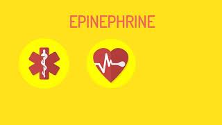 Anaphylaxis 101  Understand the basics [upl. by Nohj836]