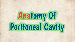 Anatomy of Peritoneal Cavity [upl. by Acebber]