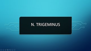 N Trigeminus  V Kraniyal Sinir [upl. by Nomi]